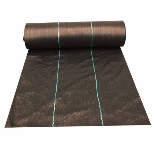 生態毯與防草布 果園高效管理新選擇