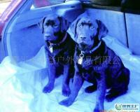 藍色PE編織布寵物墊 特性、價格與選購指南